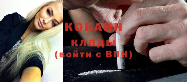 spice Алзамай