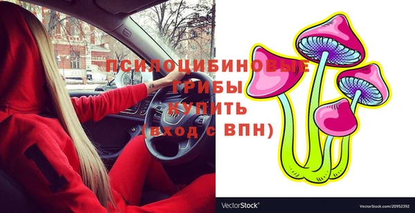 spice Алзамай