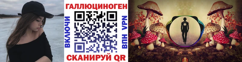 продажа наркотиков  Рубцовск  Псилоцибиновые грибы Psilocybe 