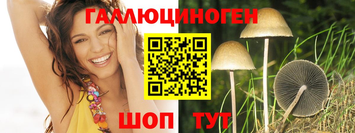 Галлюциногенные грибы MAGIC MUSHROOMS  Вход с VPN  Рубцовск 